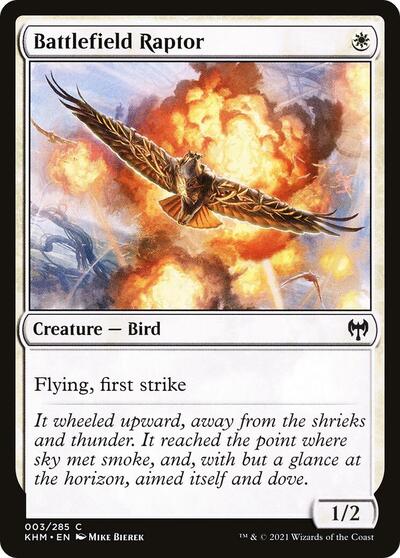 Battlefield Raptor Kaldheim (KHM) - (#3) Near Mint