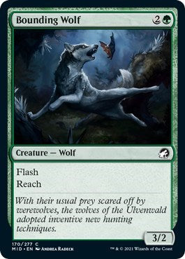 Bounding Wolf Innistrad: Midnight Hunt (MID) - (#170) Near Mint