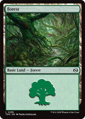 Forest 0286 Tarkir: Dragonstorm (TDM) - (#286) Near Mint