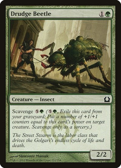 Drudge Beetle Return to Ravnica (RTR) - (#122) Near Mint