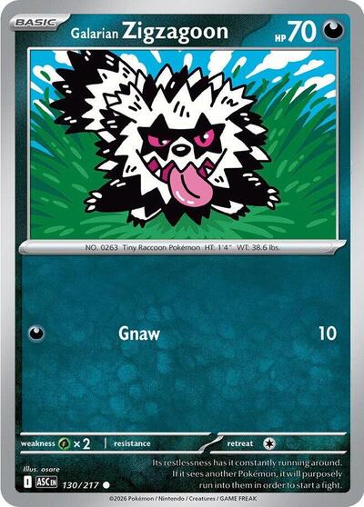 Galarian Zigzagoon ME: Ascended Heroes (ASC) - (#130/217) Near Mint