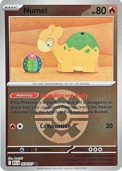 Numel - 027/217 (Quick Ball) ME: Ascended Heroes (ASC) - (#027/217) Reverse Holofoil Near Mint