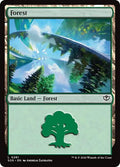 Forest 0281 Secrets of Strixhaven (SOS) - (#281) Near Mint